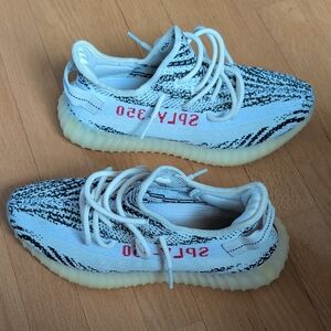 Men's Zebra Yeezy Boost 350